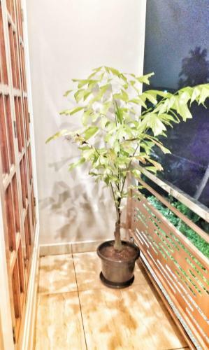 High Island Homestay