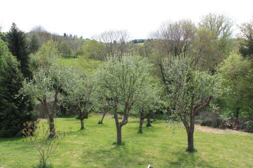 Hostal Au Volcan Du Lac