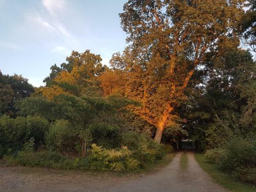 Hostal Relais Des Caill�res