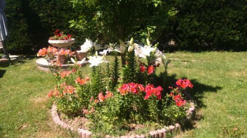 Apartamento Villa Calabrisella
