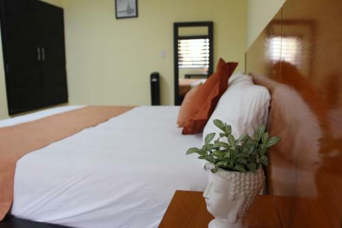 Hotel Boutique Rosa De Lima