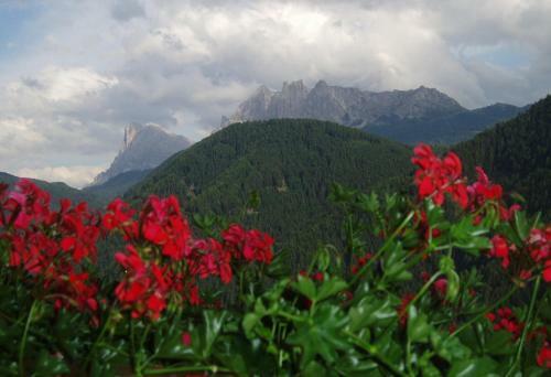 Bed & Breakfast *** Hotel Alpenhof Kg D. Gasser Renate