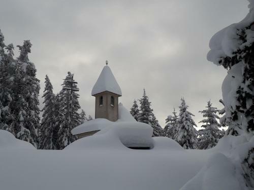 Bed & Breakfast *** Hotel Alpenhof Kg D. Gasser Renate