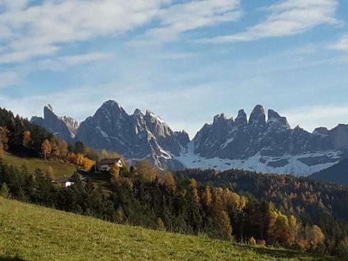 Bed & Breakfast *** Hotel Alpenhof Kg D. Gasser Renate
