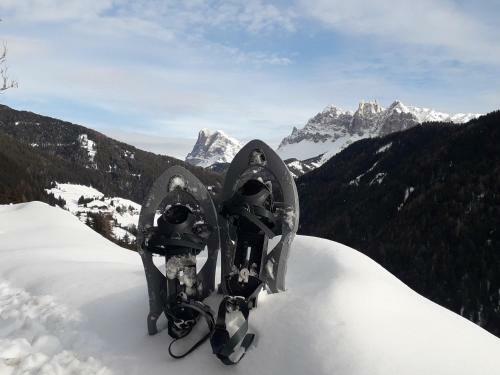 Bed & Breakfast *** Hotel Alpenhof Kg D. Gasser Renate