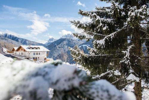 Bed & Breakfast *** Hotel Alpenhof Kg D. Gasser Renate