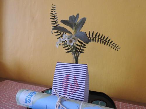 Apartament Mewa 320