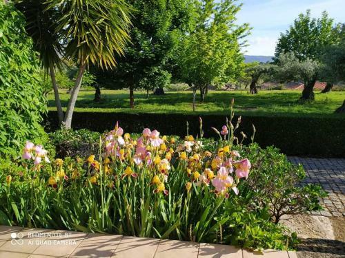 Hostal Quinta Do Ervedal- Castelo Novo