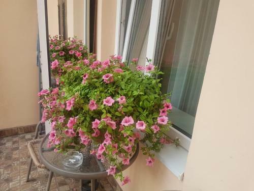 Golden Rose ! Apartments Lviv