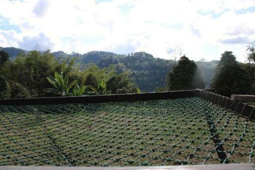 Glamping Farm