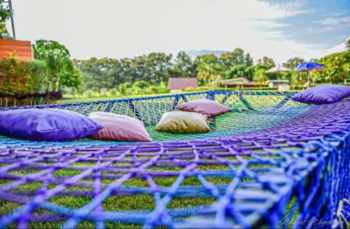 Hostal Serenity1 Homestay