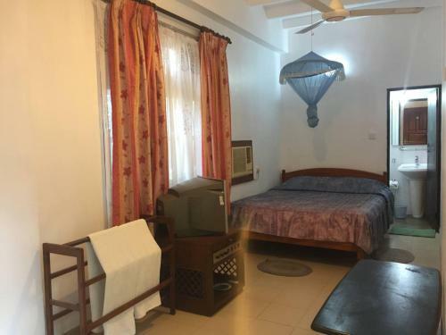 Hostal Hotel Shalini