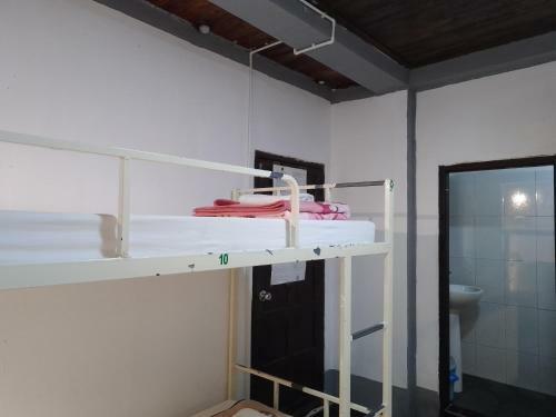 Funny Backpacker Hostel