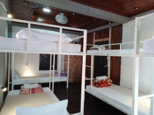 Funny Backpacker Hostel