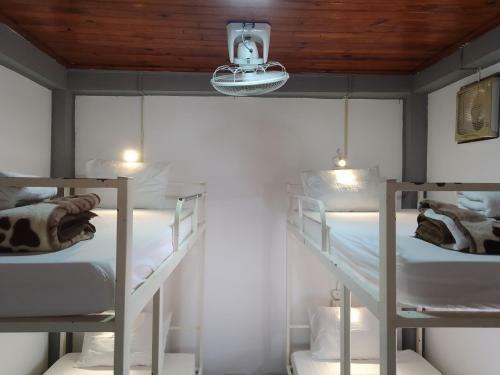 Funny Backpacker Hostel