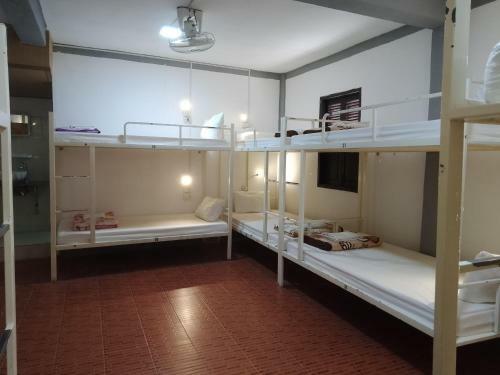 Funny Backpacker Hostel
