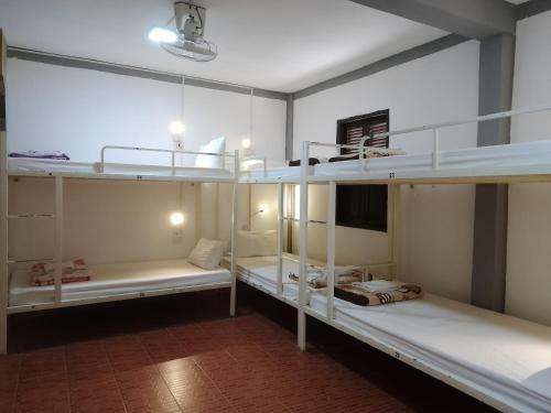 Funny Backpacker Hostel
