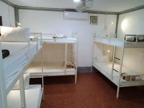 Funny Backpacker Hostel