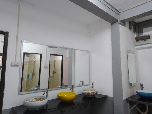 Funny Backpacker Hostel