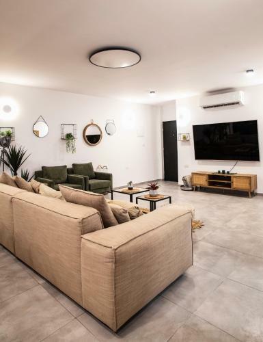 Luxury Apartment
