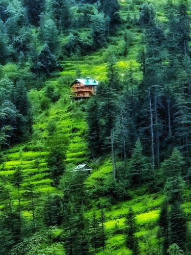 Ruhoots Cafe & Homestays