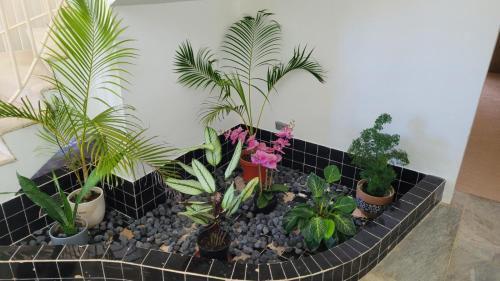 Bed & Breakfast Kagaman House