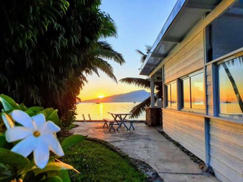 Moorea - Bungalow Chez Papou