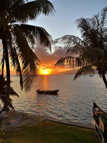 Moorea - Bungalow Chez Papou