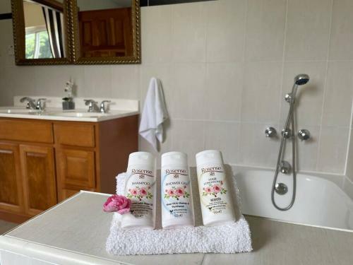 Spring Garden Mobay Resort Luxurious Apartments