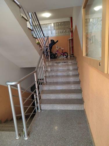 Apartamento Helena