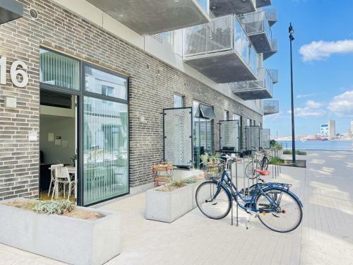 Apartamento Aday - Harbor Groundfloor Own Entrance - Studio