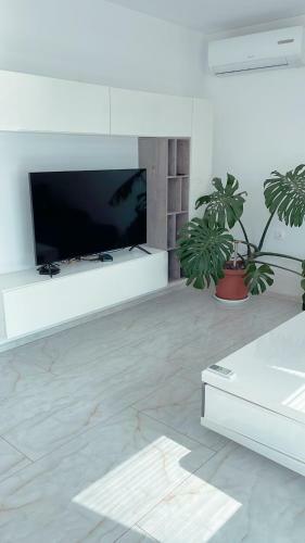 Three Rooms Apartment Next To The Sea