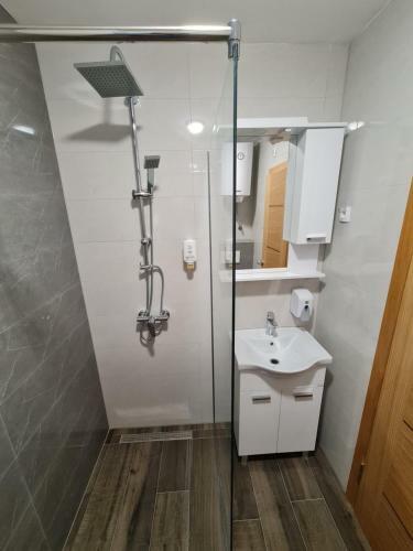 Apartamento Vila Hercegovka