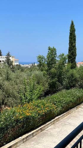Apartamento Sea-view Eco-apartment B110