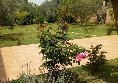 Villa Freedom - Koutsoubri Beach Evia