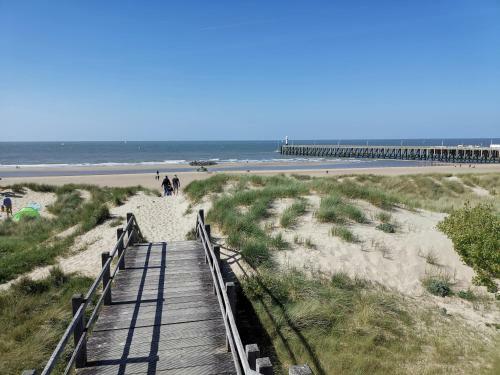 Griad In De Duinen