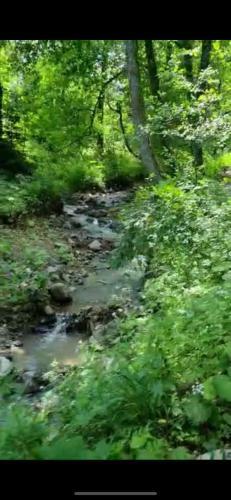 Apartamento Didveli Gallery