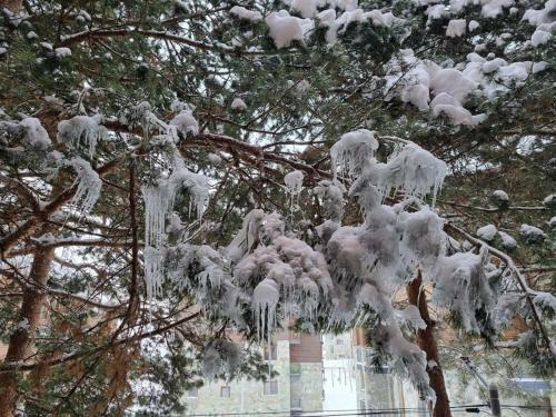 Leo Group Luxury Apartment 0220 Bakuriani Inn