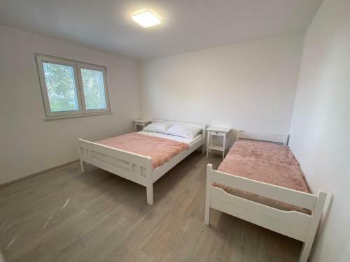 Dorothy Apartman Vir