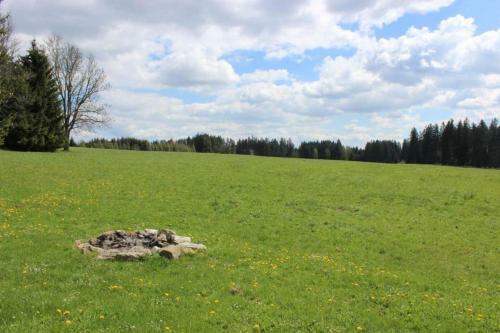 Apartamento Chata Pl�ni?ka 516 - Lipno Home