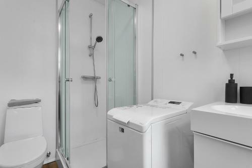 Cozy Studio Apartment In Reykjav�k City Center