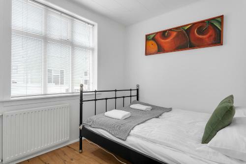 Cozy Studio Apartment In Reykjav�k City Center