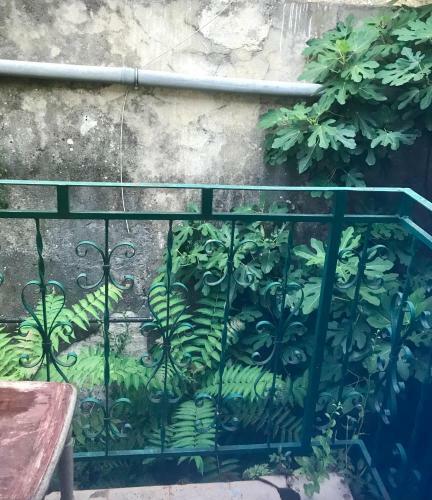 Apartamento Biancas Studio
