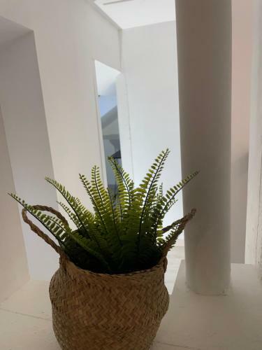 Amboise - L'�crin De L�onard