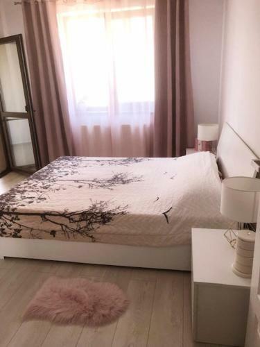 Apartament Alex