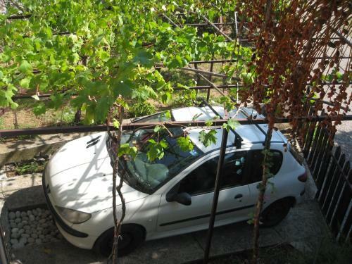 Apartman Smokva