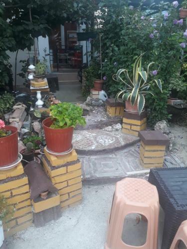 Apartamento Mihailce Appartments