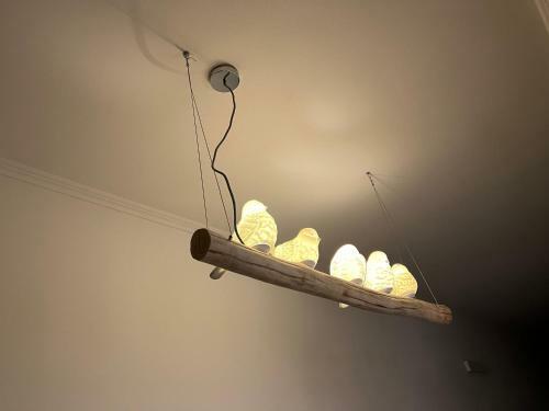 Apartamento Studio 55