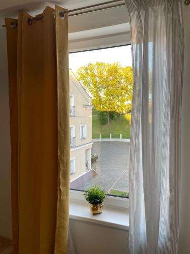Apartamento Old Studio 1850