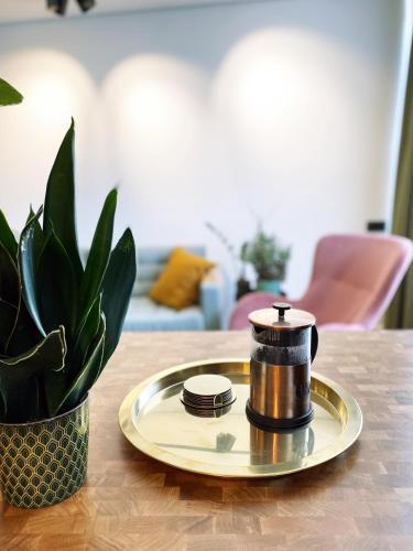 Raitas Air-conditioned Apartment